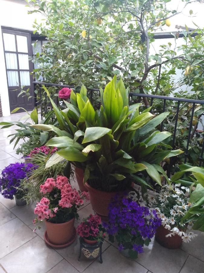 El Patio Andalu Bed & Breakfast Ardales Ngoại thất bức ảnh