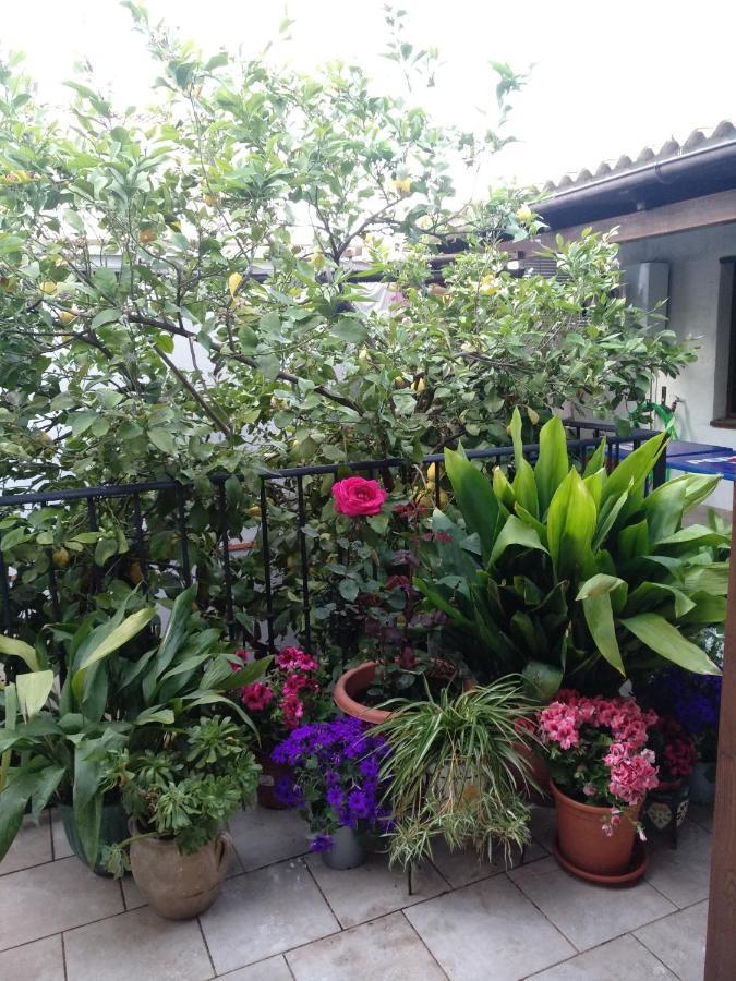El Patio Andalu Bed & Breakfast Ardales Ngoại thất bức ảnh