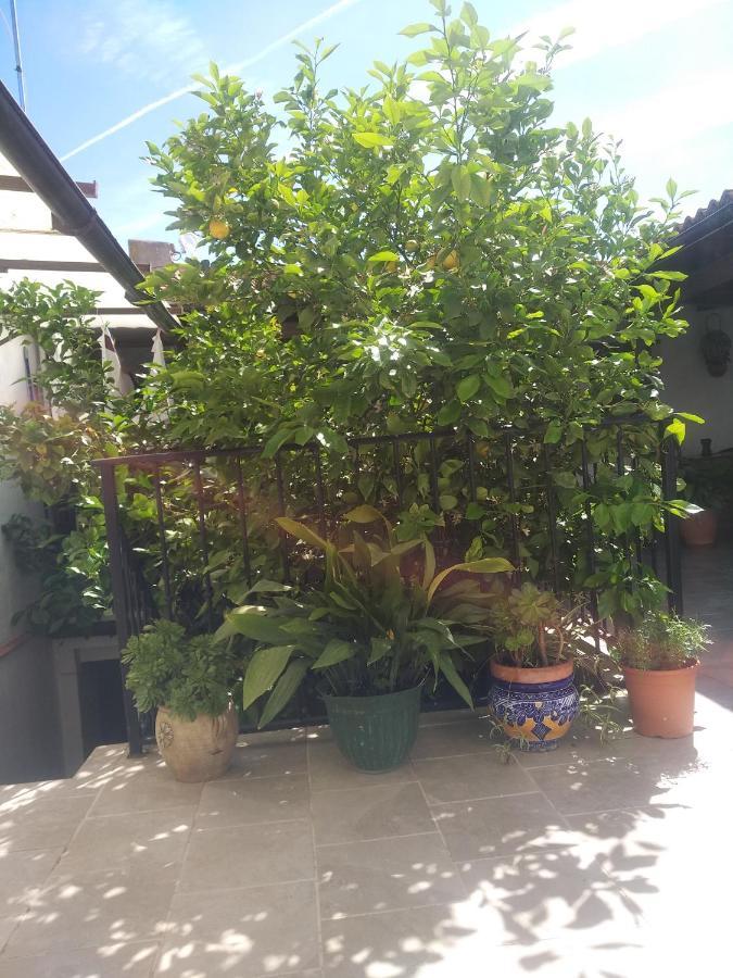 El Patio Andalu Bed & Breakfast Ardales Ngoại thất bức ảnh